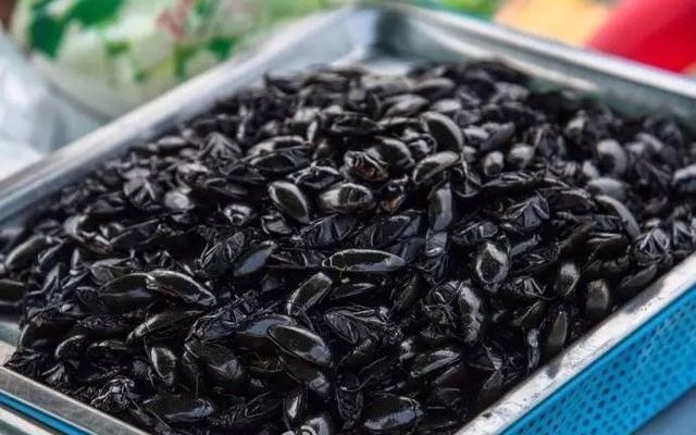 街头小吃:炸蟑螂